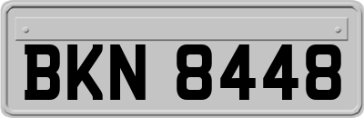 BKN8448