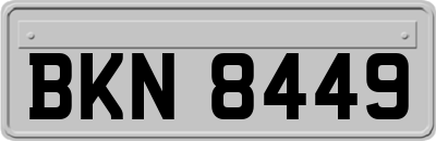 BKN8449