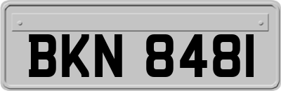 BKN8481