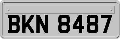 BKN8487