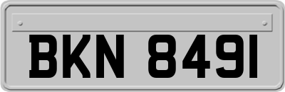 BKN8491