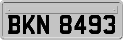 BKN8493