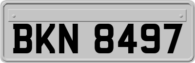 BKN8497