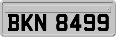 BKN8499