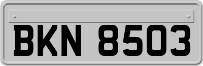 BKN8503