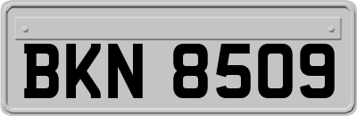 BKN8509