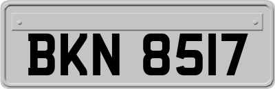 BKN8517