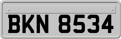 BKN8534