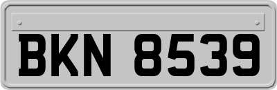 BKN8539