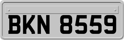 BKN8559