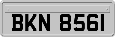 BKN8561