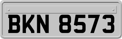 BKN8573