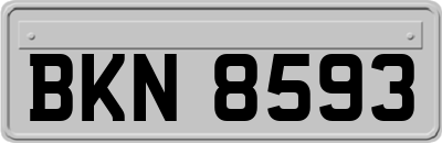 BKN8593