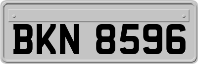 BKN8596