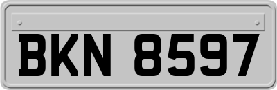 BKN8597