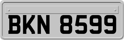 BKN8599