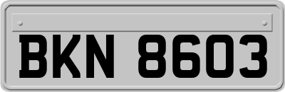 BKN8603