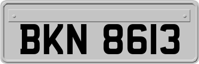 BKN8613