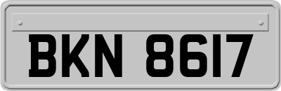 BKN8617