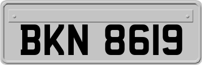 BKN8619