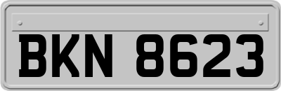 BKN8623