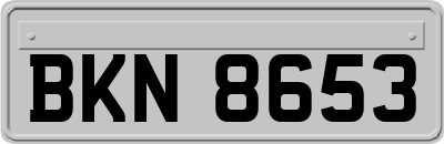 BKN8653
