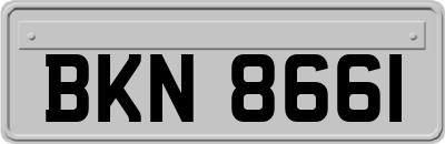 BKN8661