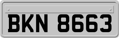 BKN8663