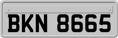 BKN8665