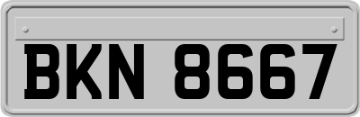 BKN8667