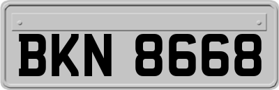 BKN8668