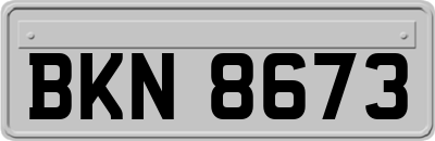 BKN8673