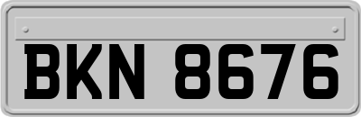 BKN8676