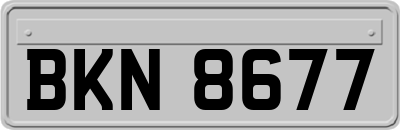 BKN8677