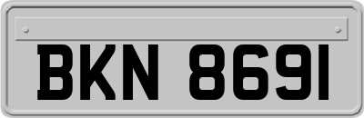 BKN8691