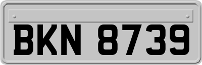 BKN8739
