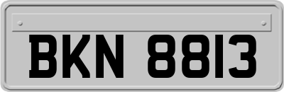 BKN8813