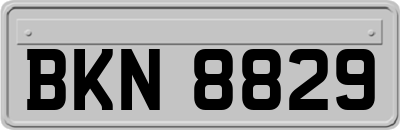 BKN8829