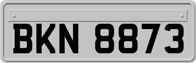 BKN8873