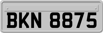 BKN8875
