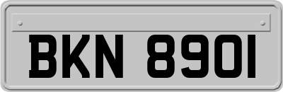 BKN8901