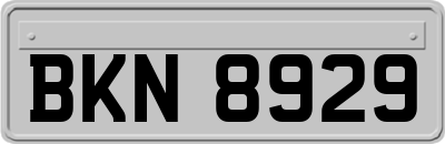 BKN8929