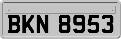BKN8953
