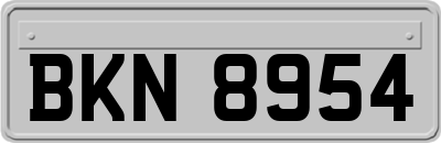 BKN8954