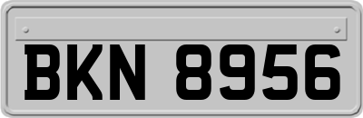 BKN8956