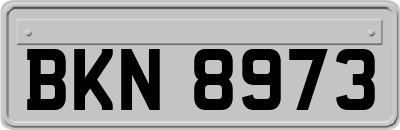 BKN8973
