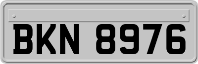 BKN8976