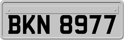 BKN8977