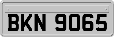 BKN9065