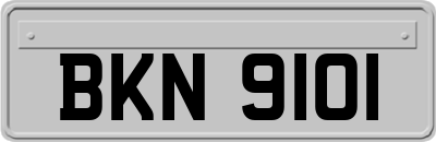 BKN9101